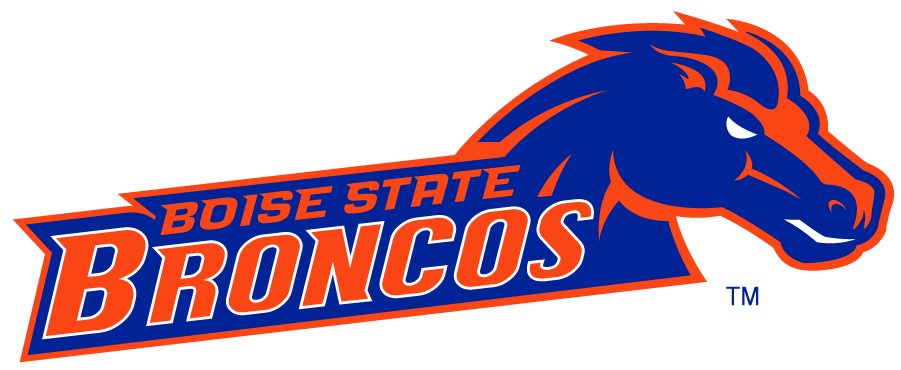 Boise State Broncos 2002-2012 Secondary Logo v11 DIY iron on transfer (heat transfer)